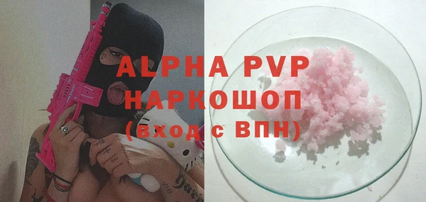 ПСИЛОЦИБИНОВЫЕ ГРИБЫ Гусев