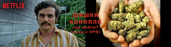 ПСИЛОЦИБИНОВЫЕ ГРИБЫ Гусев