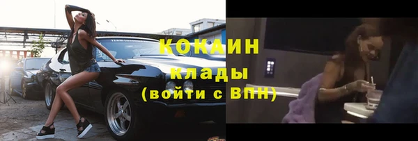 ПСИЛОЦИБИНОВЫЕ ГРИБЫ Гусев