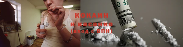ПСИЛОЦИБИНОВЫЕ ГРИБЫ Гусев