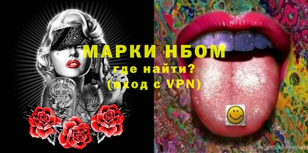 прущие грибы Новозыбков