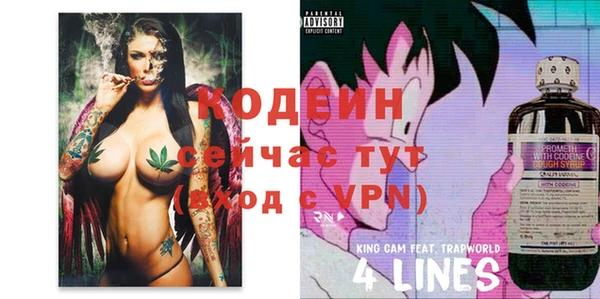 ECSTASY Гусь-Хрустальный