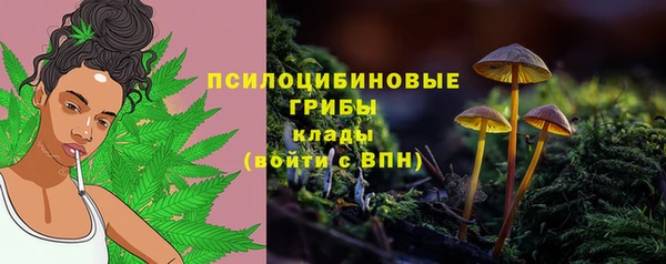ECSTASY Гусь-Хрустальный