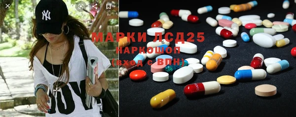 прущие грибы Новозыбков