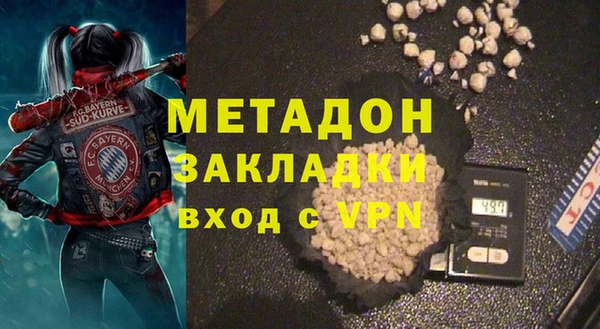 прущие грибы Новозыбков