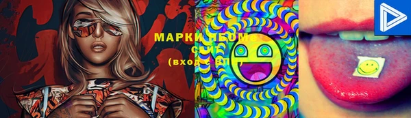 ПСИЛОЦИБИНОВЫЕ ГРИБЫ Гусев